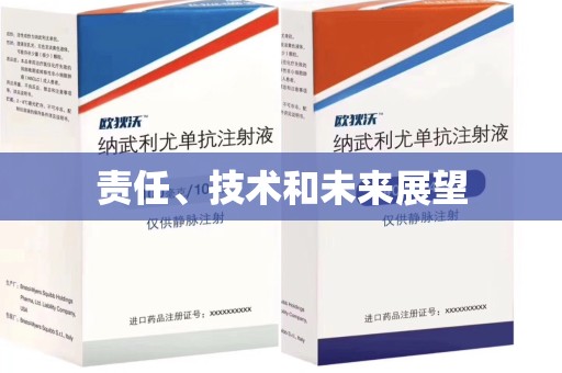 赣州责任、技术和未来展望
