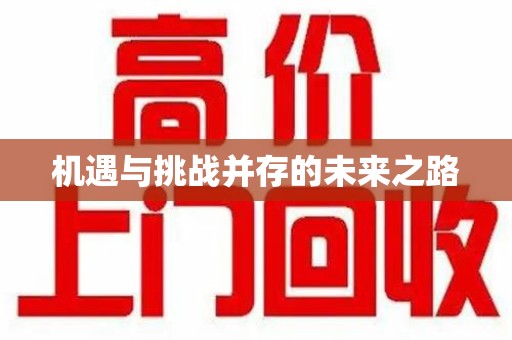 赣州机遇与挑战并存的未来之路