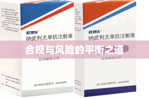 赣州合规与风险的平衡之道