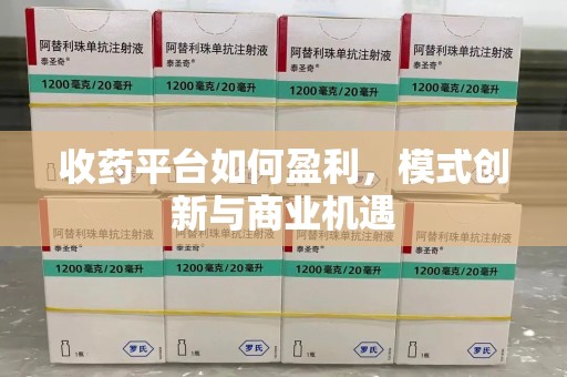 赣州收药平台如何盈利，模式创新与商业机遇