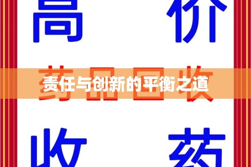 赣州责任与创新的平衡之道